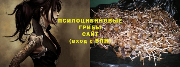 Альфа ПВП Алзамай